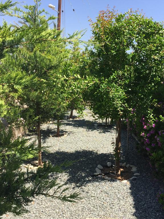 Casa Vacanze Baciata Agios Theodoros Εξωτερικό φωτογραφία